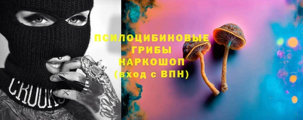 сатива Алзамай