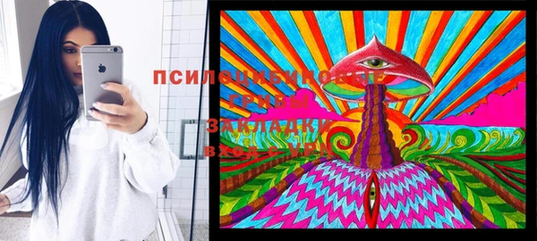 стафф Алексеевка