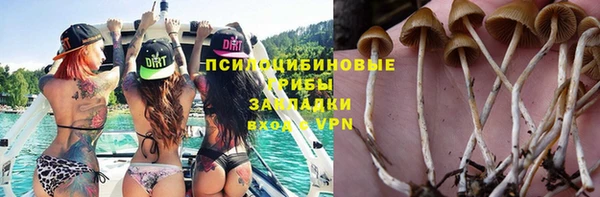 сатива Алзамай