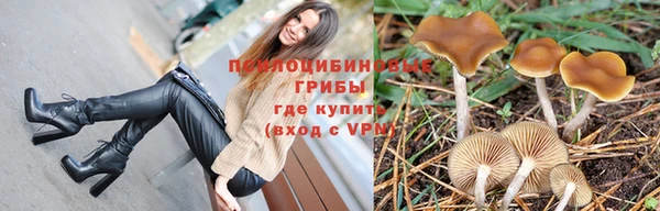 стафф Алексеевка