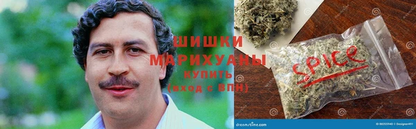 спиды Новозыбков